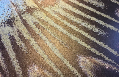 DecoSilky Textured Wallpaper for a shop in Edinburgh