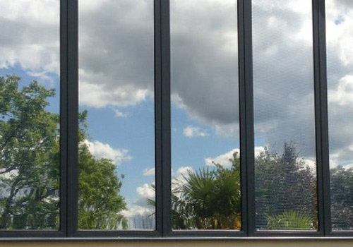 Example of Window Films for shop in Scotland